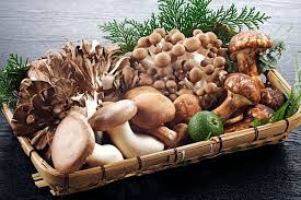 mushroom-nutritional-benefits
